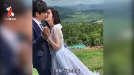 转基因的产量为什么会高于非转基因？